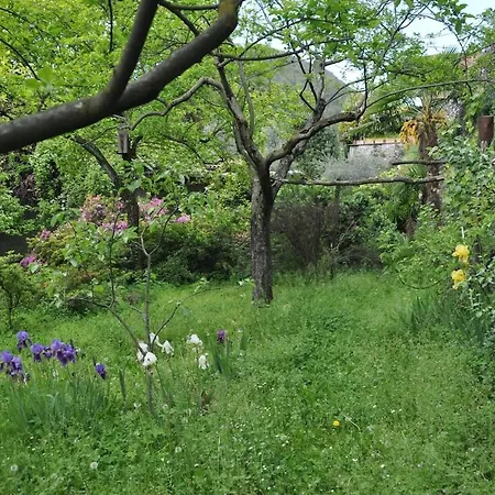 Maggiore - - Piano Terra - La Casaccia Semesterbostad *