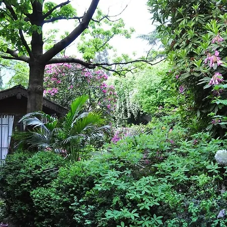 Maggiore - - Piano Terra - La Casaccia